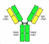 �й����������߶Կ����Լ�����ķ�˼