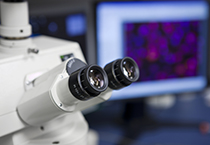 ҩ�����������ҩ���뱻��Ե��ԭ��