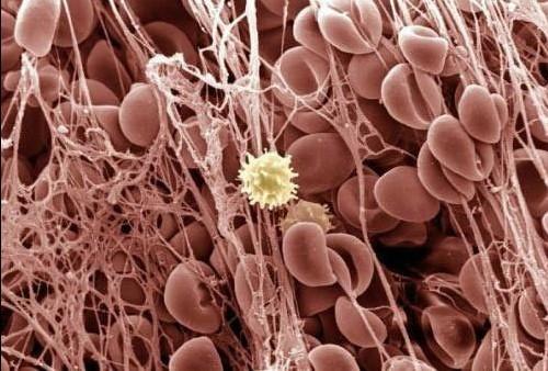 ����������������ϸ���������Ŀ���