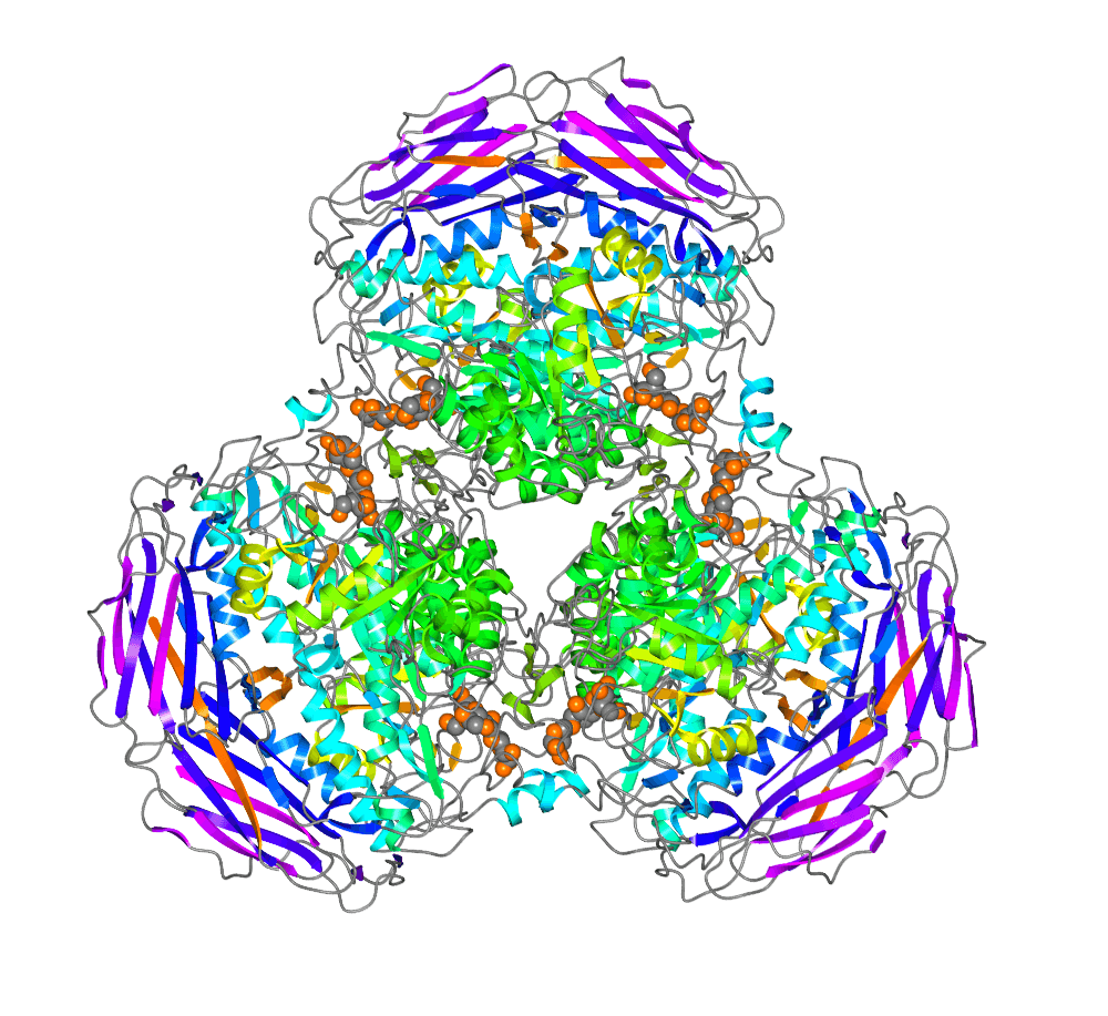 �Ѱױ���Ч������