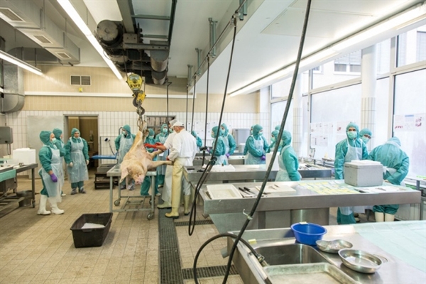 2015�������������ڴ�����ҩ