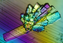 ��������Ч�͹�˾