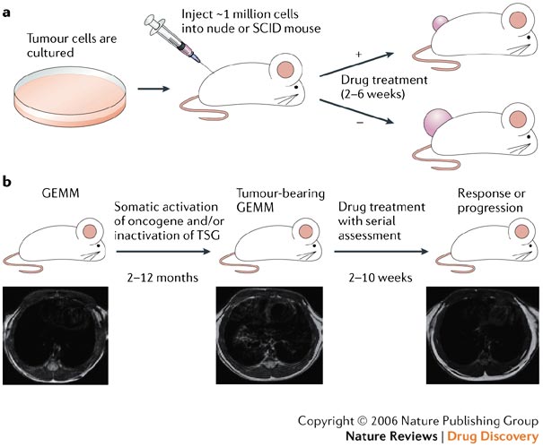 С������ģ�ӹ�����˾