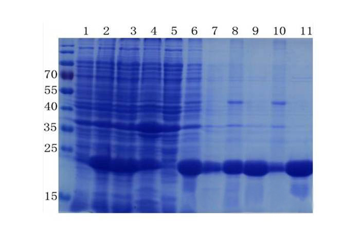 �Ѱ�����ȡ�봿�����ɡ���������ʱ����ҽҩ