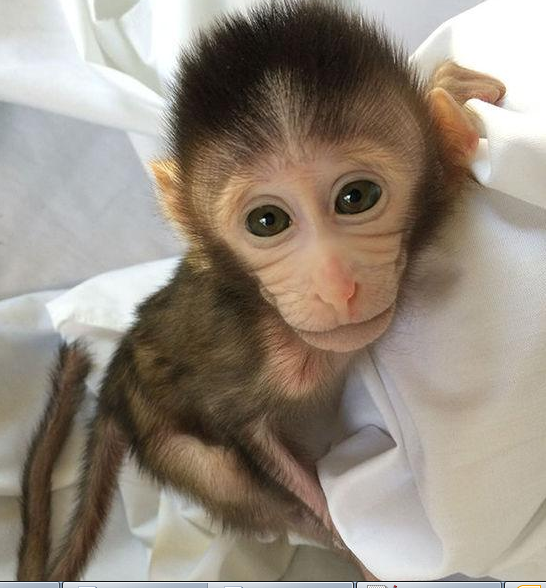 ������ʱ - �������ǲ�!