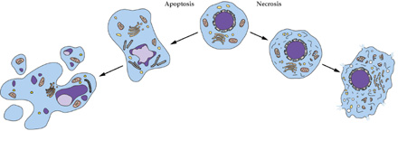 ������ʱϸ�������������Ч��