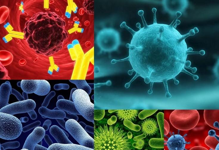 ���������Ʒ���ս�Զ�ͷս������