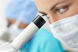 ����ҩ���������ջ���