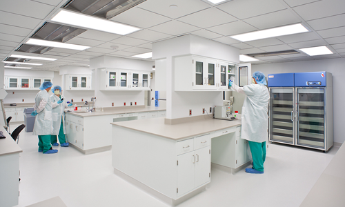 ר��Σ����ߵ�ҩ���ͷ