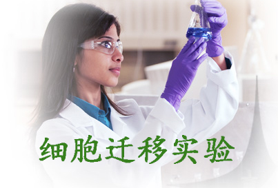 ϸ��Ǩ��ʵ��Ч��