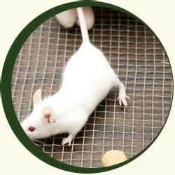 �й��״���������ʵ�鶯����ұ�׼