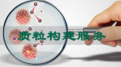 ������ʱ��������Ч��