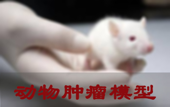 ������ʱ����ģ�ӽ���Ч��