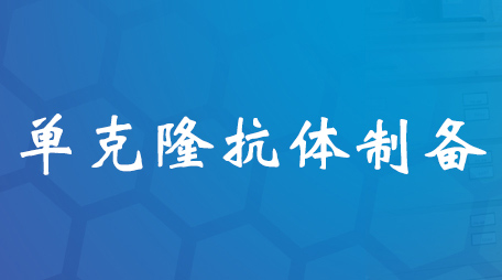 ����¡�����Ʊ�����