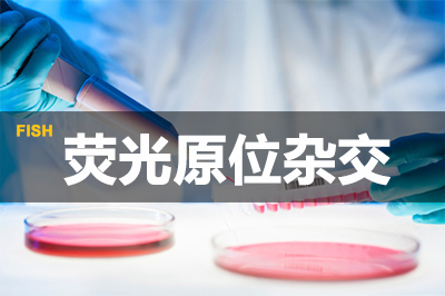 ������ʱӫ��ԭλ�ӽ�����