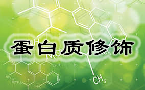 �Ѱ�������(PEG����Ч��)