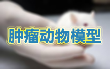 ������������ģ��һ��