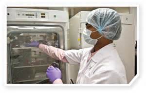 Science����֢�����Ʒ����°е㡱����Cdk5