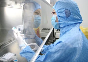 �������������徲����������ҩ��