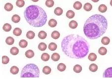 ĳ�о����������ƶ෢�Թ������������°е�