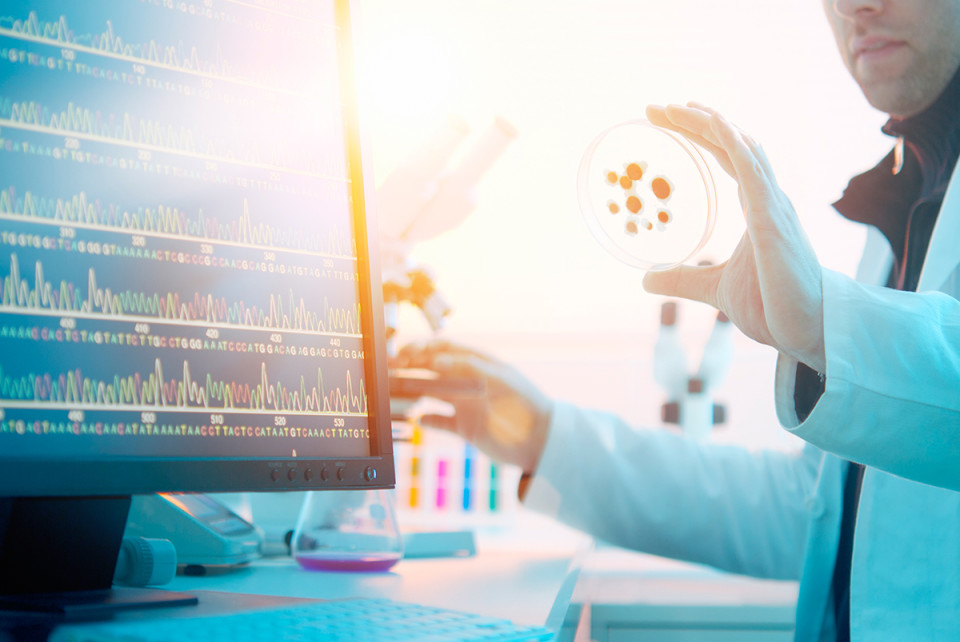 ����������ҩ�з�����Ʒ�ּ���������