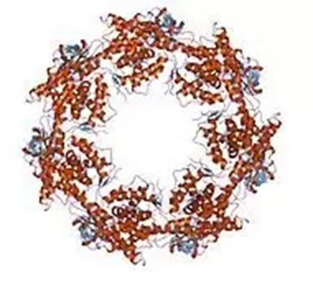 ������ʱ - �������ǲ�!