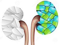 ��NEJM������һ�Ķ���PD-1/PD-L1ͨ·