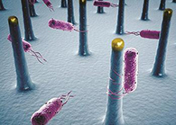 δ����ҩ������������һ����С��˽�ҹ�ˢ�µ�ϸ����