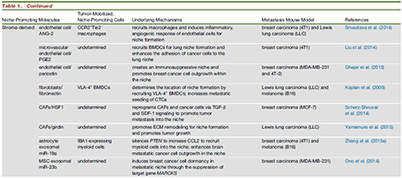 ×ðÁú¿Ê± - ÈËÉú¾ÍÊDz«!