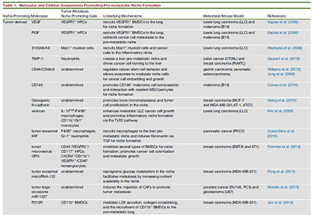 ×ðÁú¿Ê± - ÈËÉú¾ÍÊDz«!