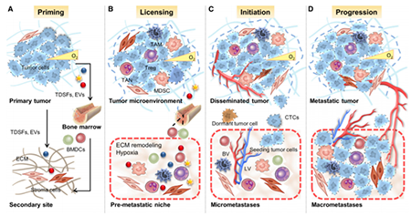 ×ðÁú¿Ê± - ÈËÉú¾ÍÊDz«!
