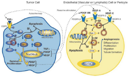 ��е�ҩ�����ҩ����Ƶ���Ҫ˼��