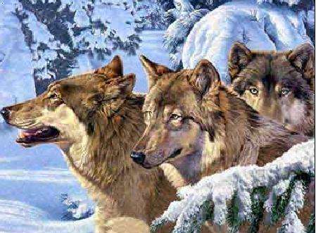 ���ڷ���ҩ����ƥ���ǡ����ˣ�