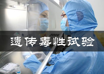 �Ŵ���������