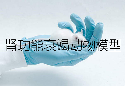 ����Ч˥�߶���ģ��