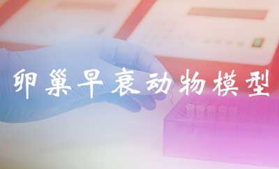 �ѳ���˥����ģ��