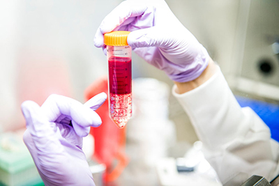 ע��Һ�����ۣ��������о��Ǳ�ѡ�