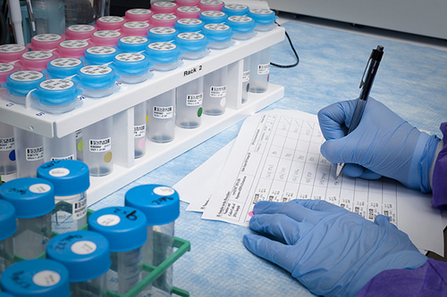 2017��ȫ������ҩCRO/CDMO��ҵ���¼�