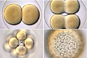 ������ʱ - �������ǲ�!