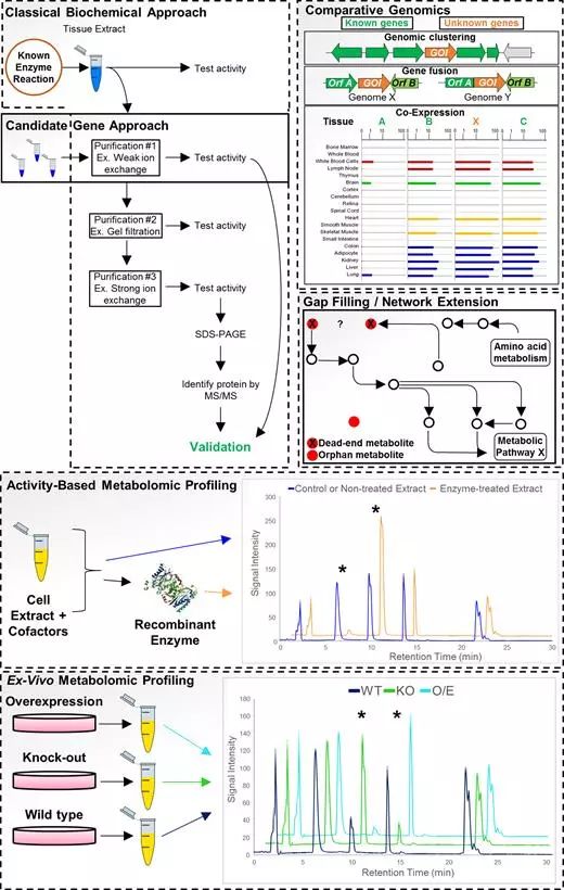 ������ʱ - �������ǲ�!