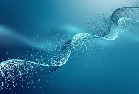 ���̻���CYP1B1���Ƽ����о���״