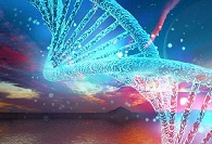 ���̻���������ҩ��--������׻�ת��ø��PRMT5�����Ƽ����о���ϣ��