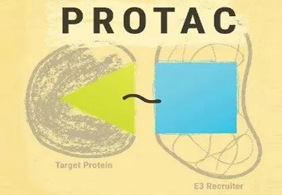 ����ǰ��:PROTAC��¶ìͷ��SD-36�Կ�����Ч��׿Խ