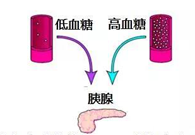 ����Ѫ����̬��GK����ǰ��