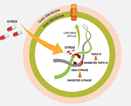 Bugworks750ԪӦϸϸȫս