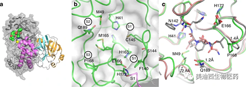 ²»º¬ÅäÌåµÄM proµÄ¾§Ìå½á¹¹ÊʺÏXÉäÏ߯¬¶Ïɸѡ