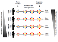 ��ʵΪʲôICB�Ʒ�������Ů����������������Ч��΢��