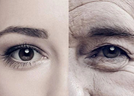 һ���ܹ����������Ľ�ѹҩ������˵������