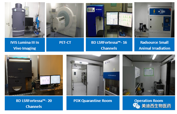 ʱҩӵIVIS Lumina III, PET-CT, BD LSRFortessa-16Flow Cytometry