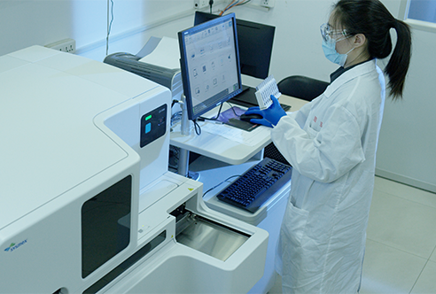 ������ʱһ�廯DMPKЧ��Ϊҩ���з����ݻ���